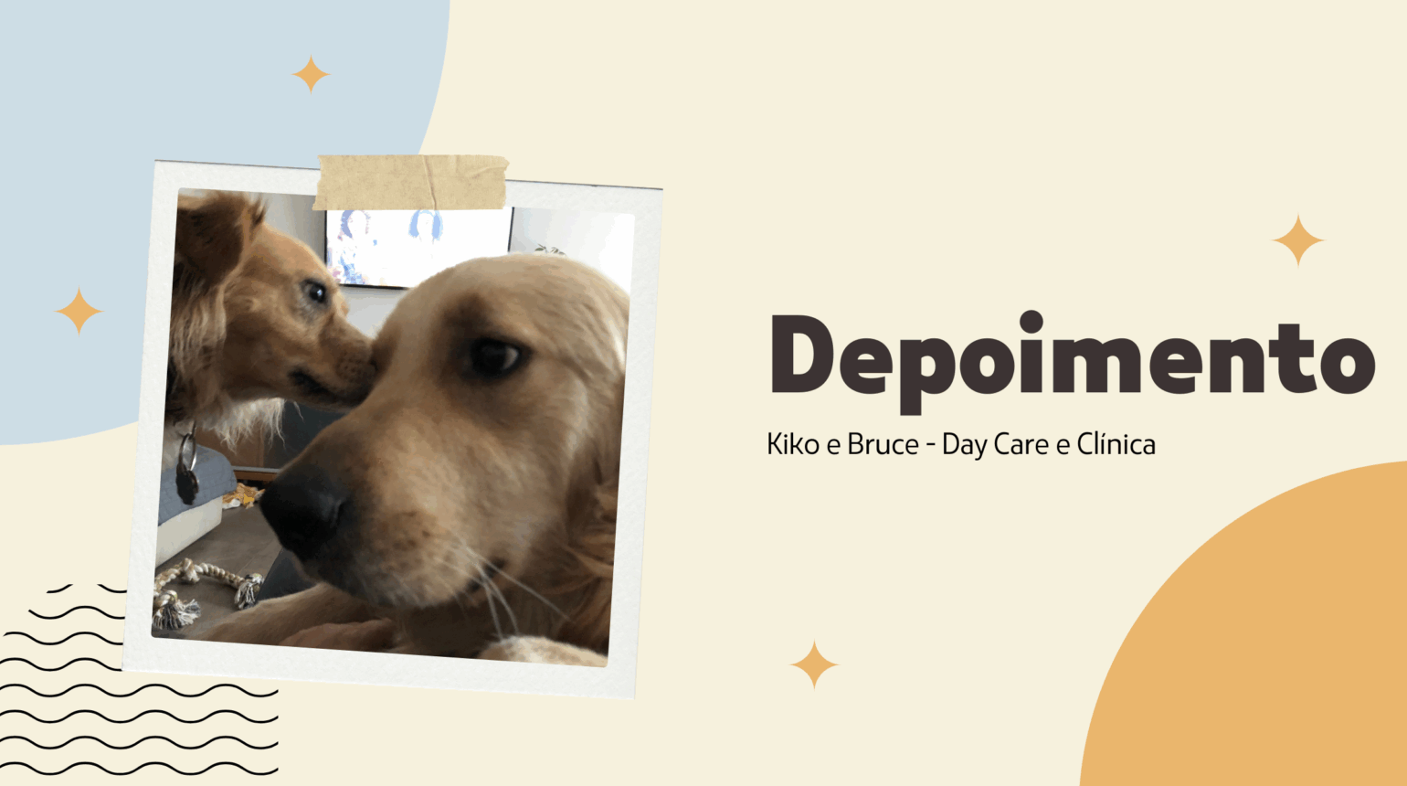 Depoimento Day Care e Clínica