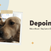 Depoimento Day Care e Clínica